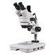 stereoscopic dissecting microscope